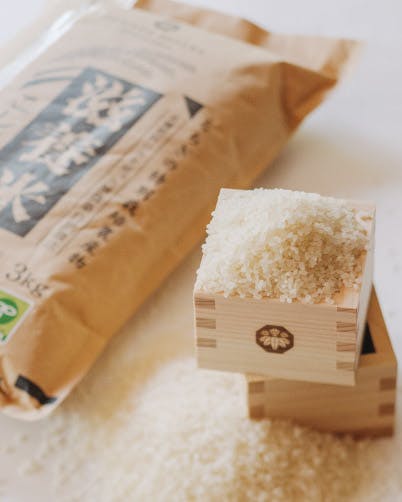 [産地直送] 滋養米コシヒカリ