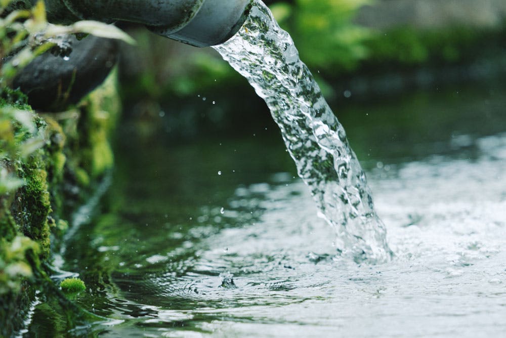 荒川養殖漁業生産組合