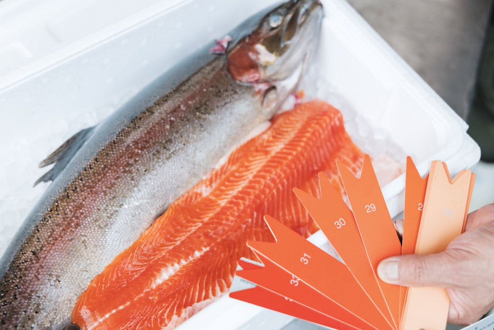 荒川養殖漁業生産組合