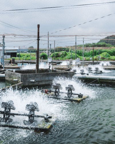 荒川養殖漁業生産組合