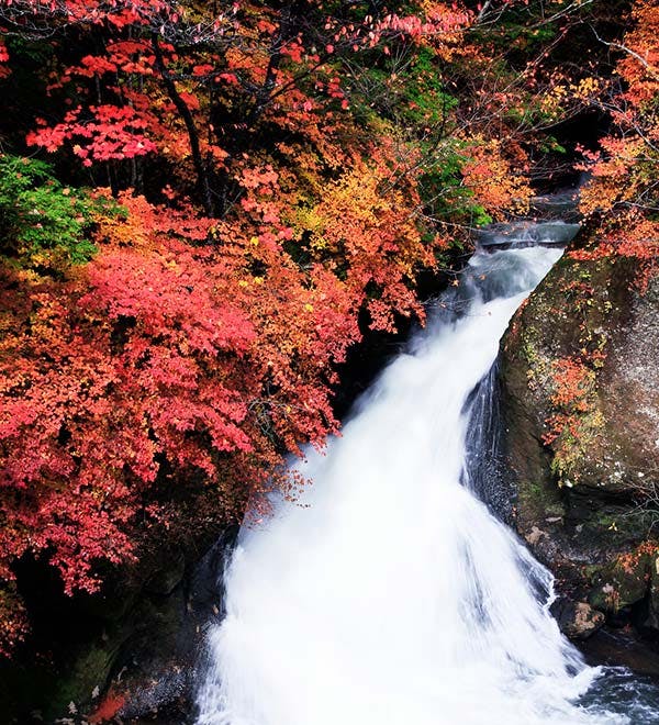 竜頭の滝