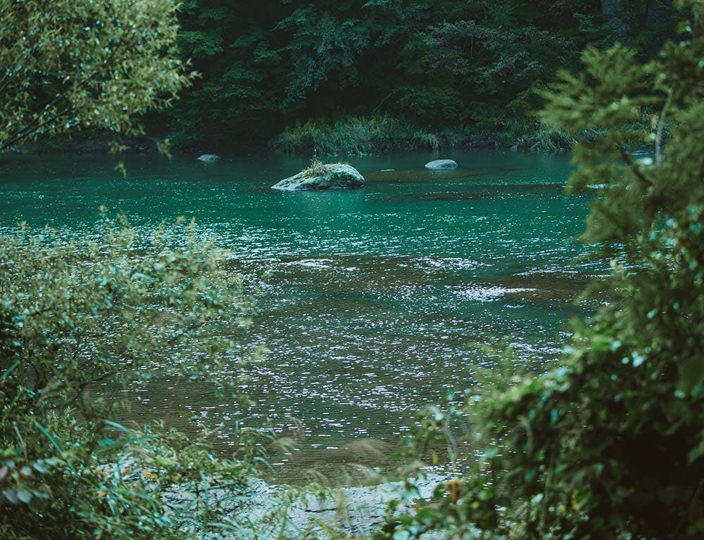 大滝河川遊歩道