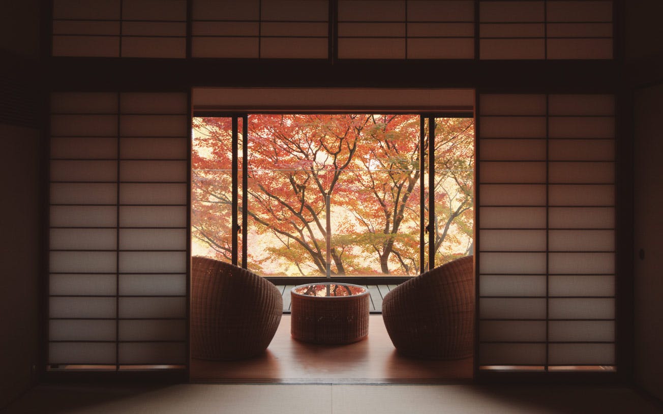 2025 autumn